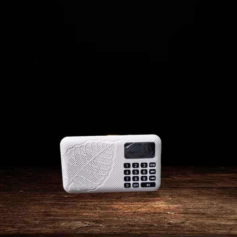 Máy Nghe Pháp cao cấp